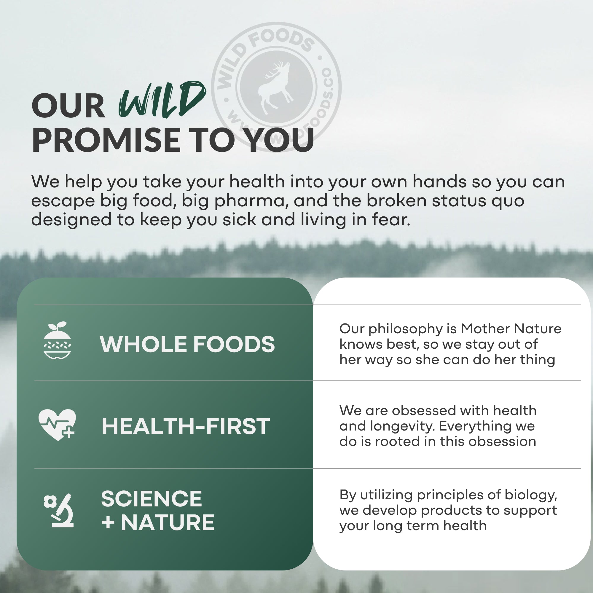 Wild Creatine Electrolytes