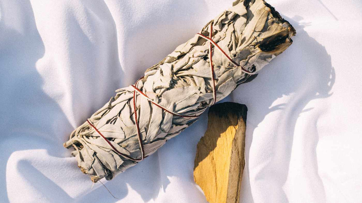 The Wonders of Sage: From Ancient Herb to Culinary Delight
