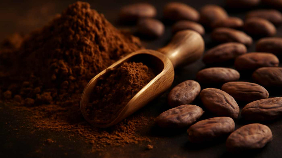 The Remarkable Health Benefits of Organic Cocoa Powder