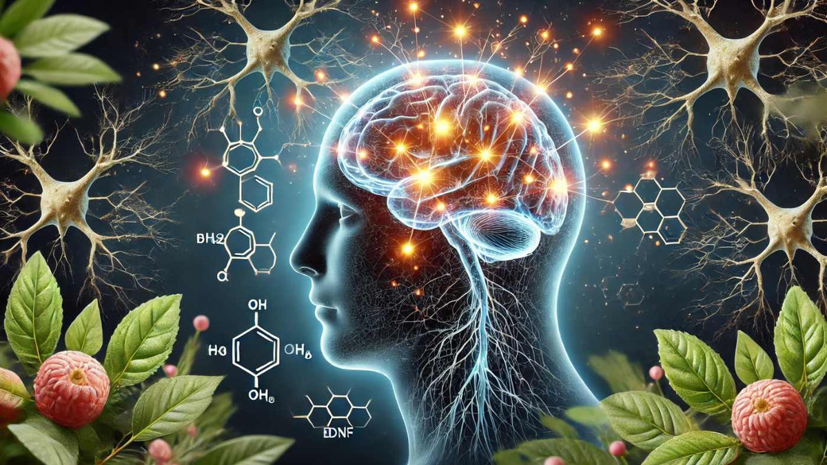 Ashwagandha for Cognitive Function: Boost Your Brain Power Naturally