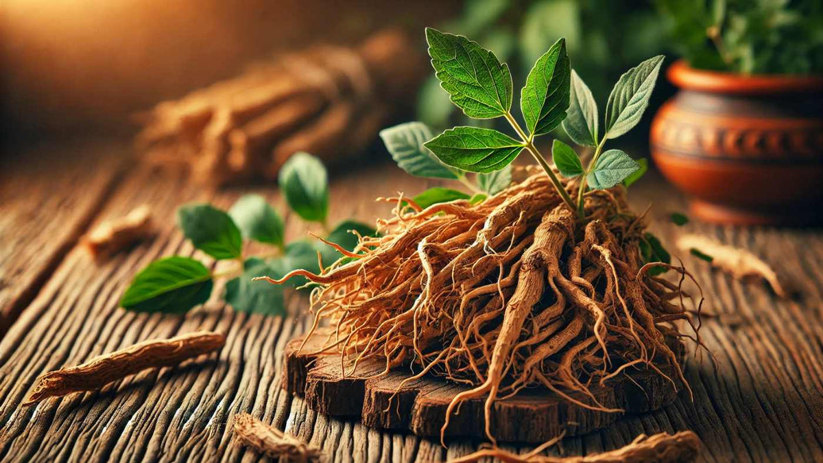 Ashwagandha Benefits for Brain Health: A Comprehensive Guide