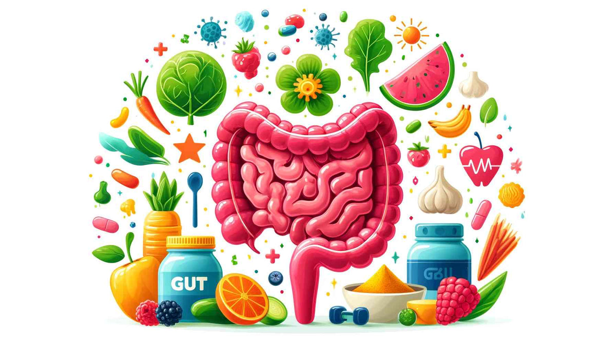 Eliminating-Harmful-Gut-Bacteria