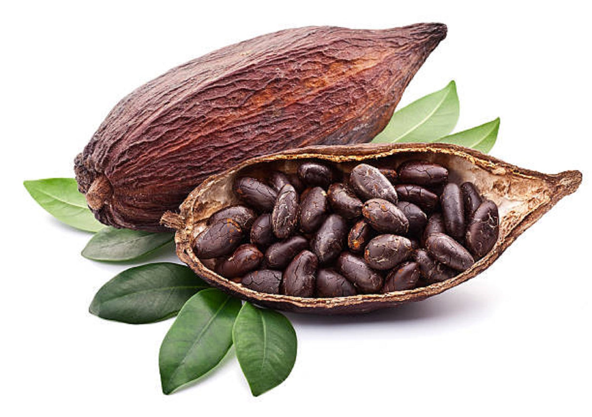 cocoa-powder-benefits