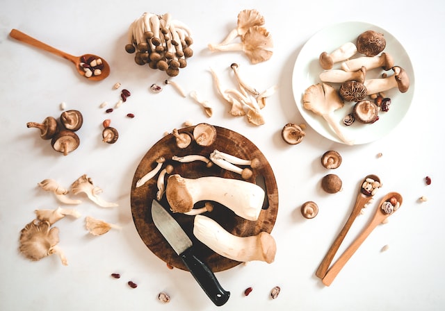 paleo-mushroom