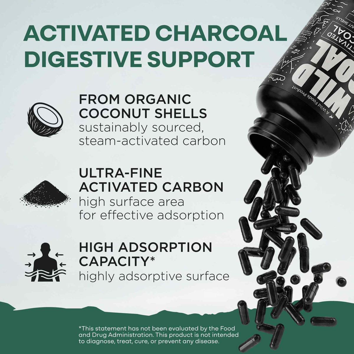 Activated Charcoal Capsules, 60 servings - Made from 100% Organic Coconuts