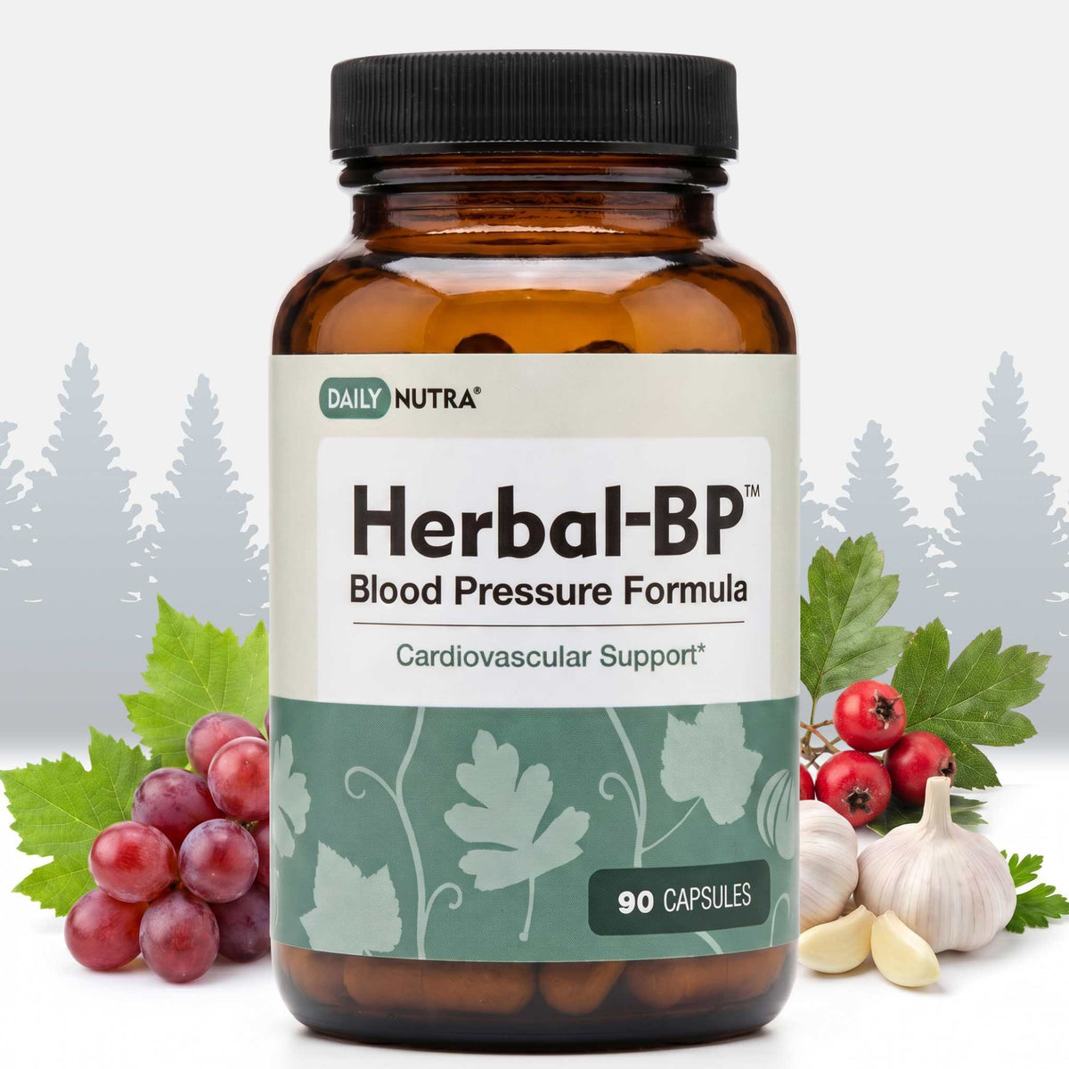 Herbal-BP - Supports circulatory wellness