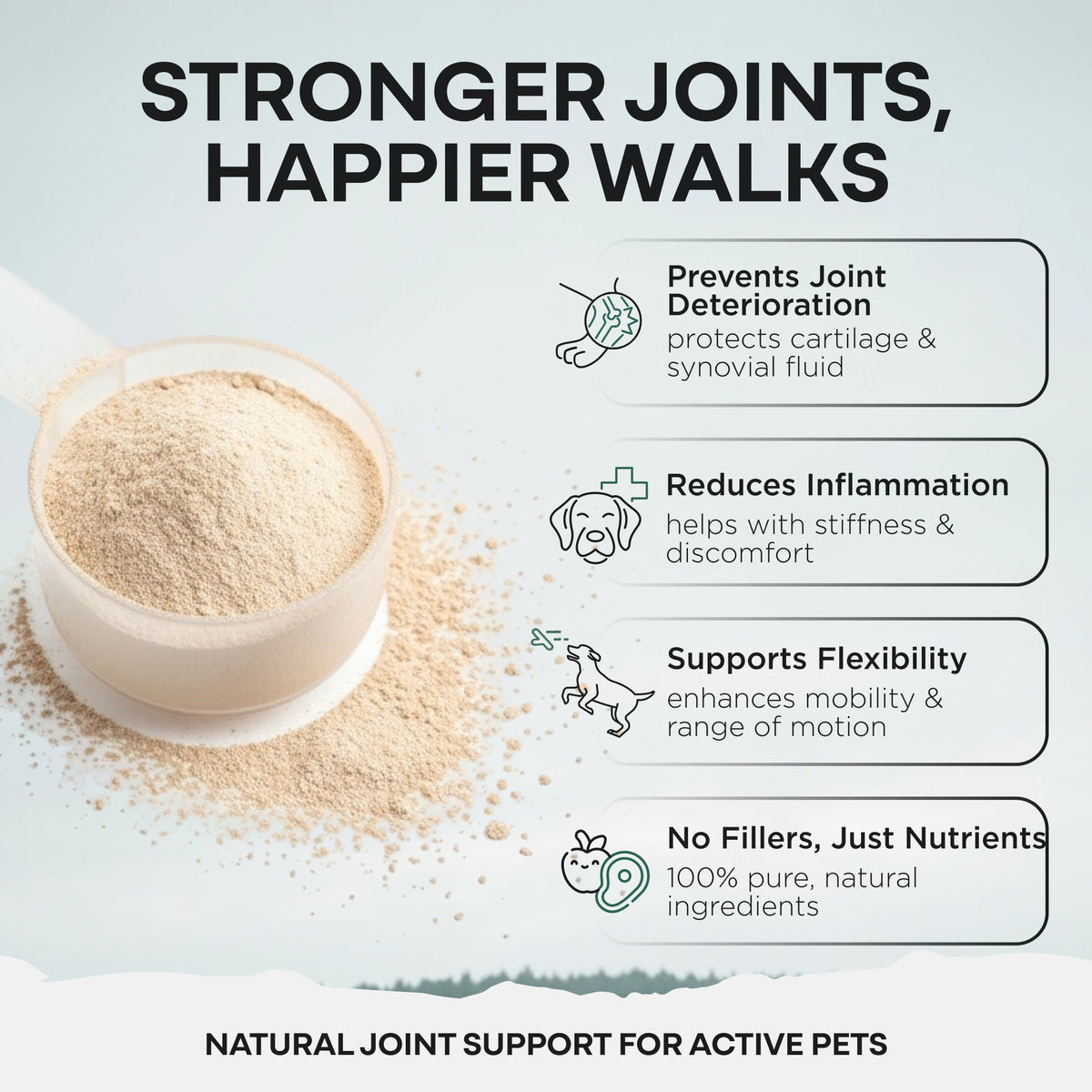 Wild Pets - Blue Lipped Mussel & Glucosamine Powder