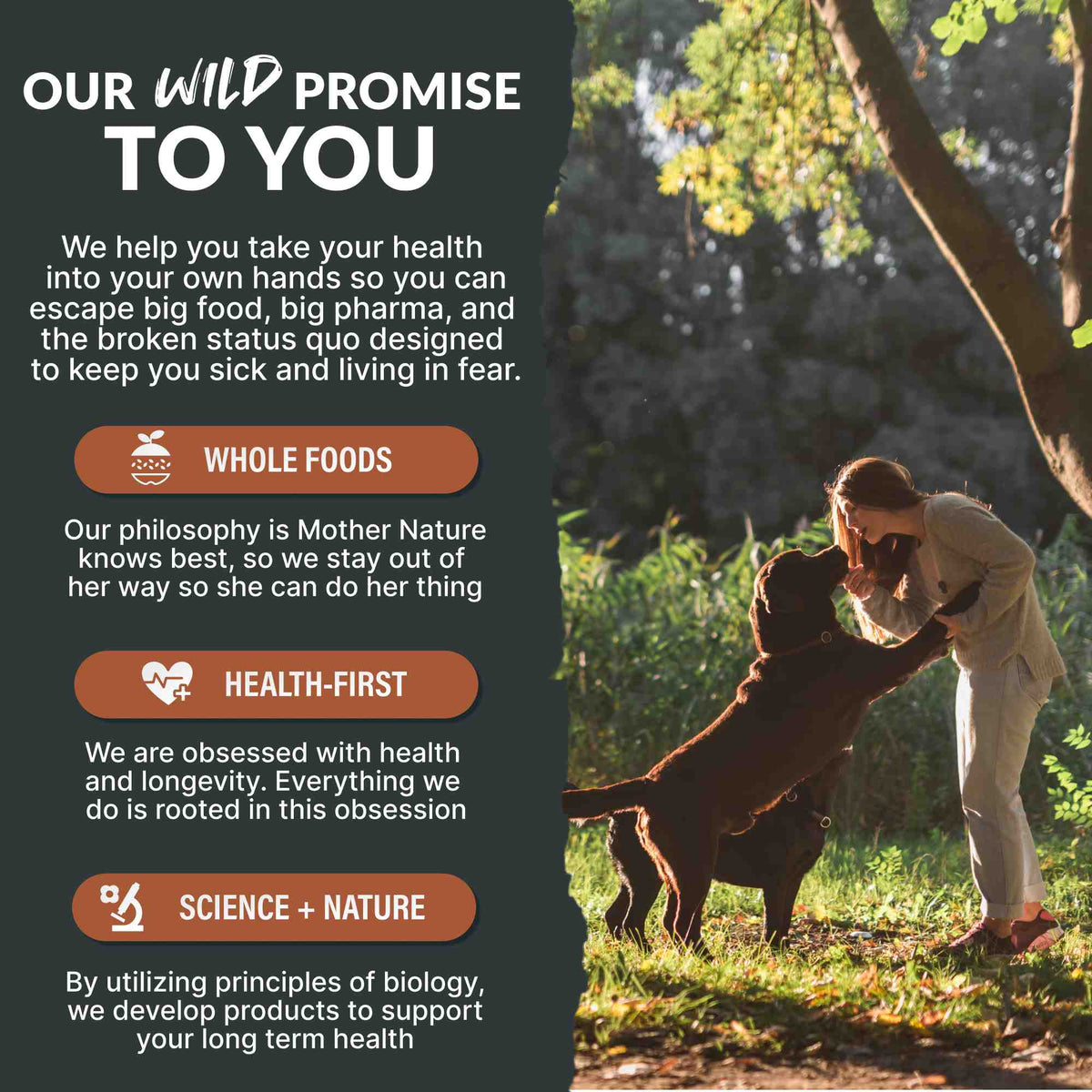 Wild Pets Bundle