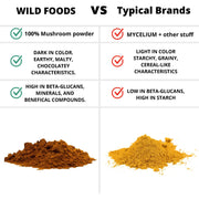 Wholesale: Master Shrooms Five Mushrooms Blend - Adaptogens + Prebiotic Powerhouse Wholesale Wild Foods   