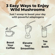 Shroom #4 Lion's Mane Mushroom Extract Case of 12 Wholesale Wild Foods   